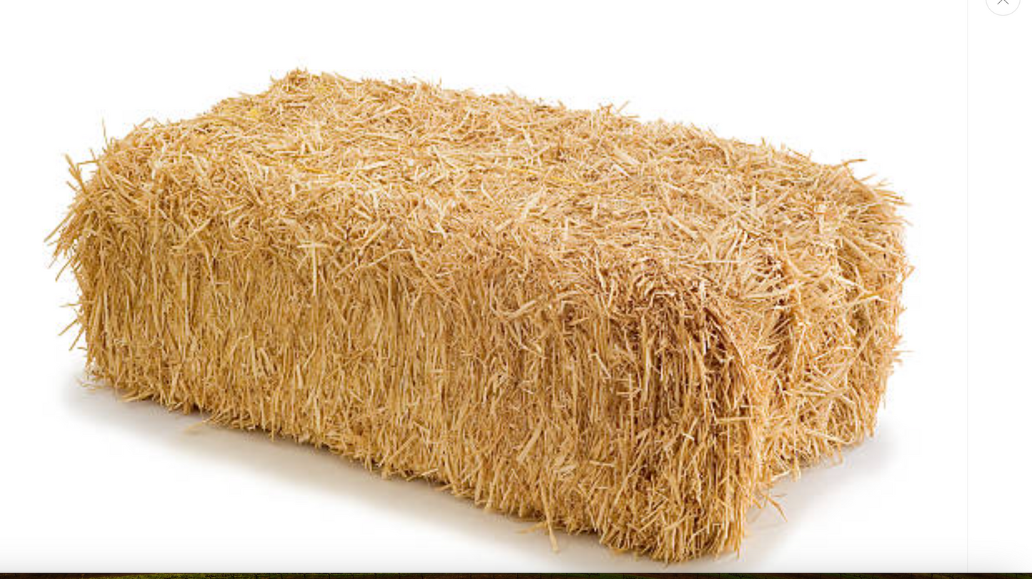 Hay Bale