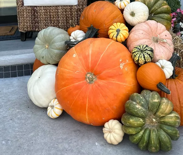 Grand Prize Pumpkin