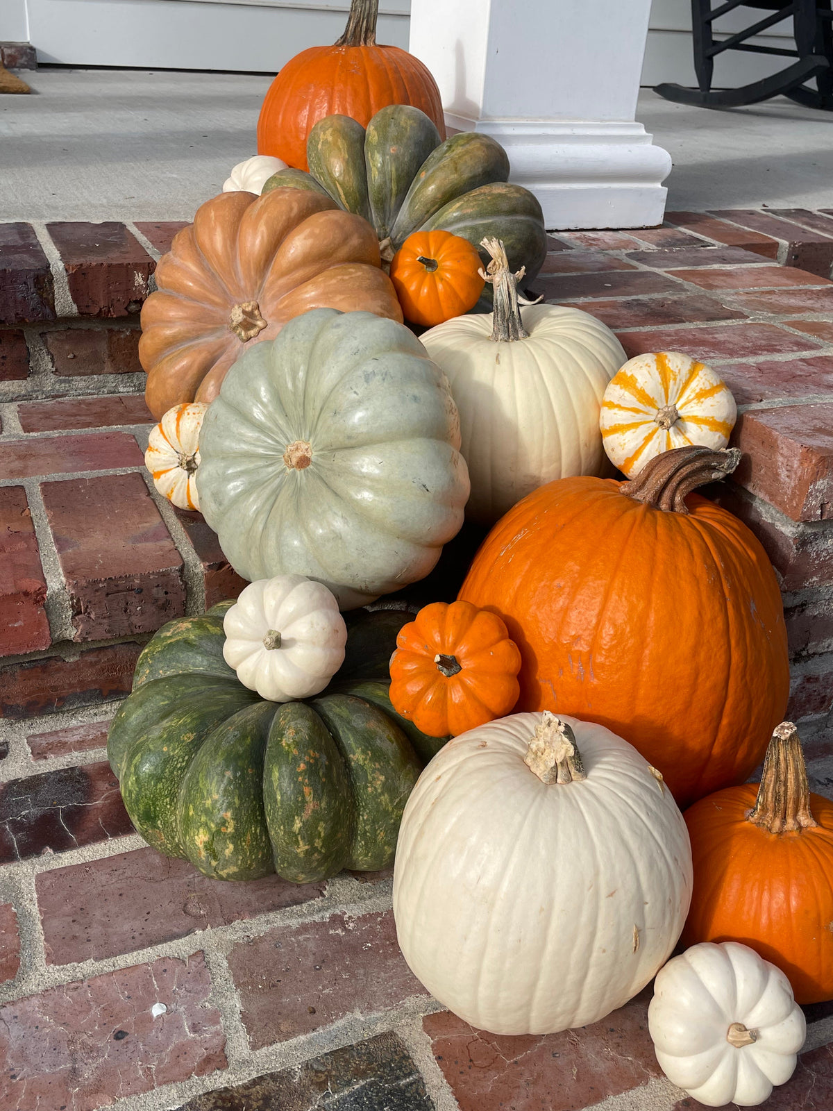 Pumpkin Porch Packages