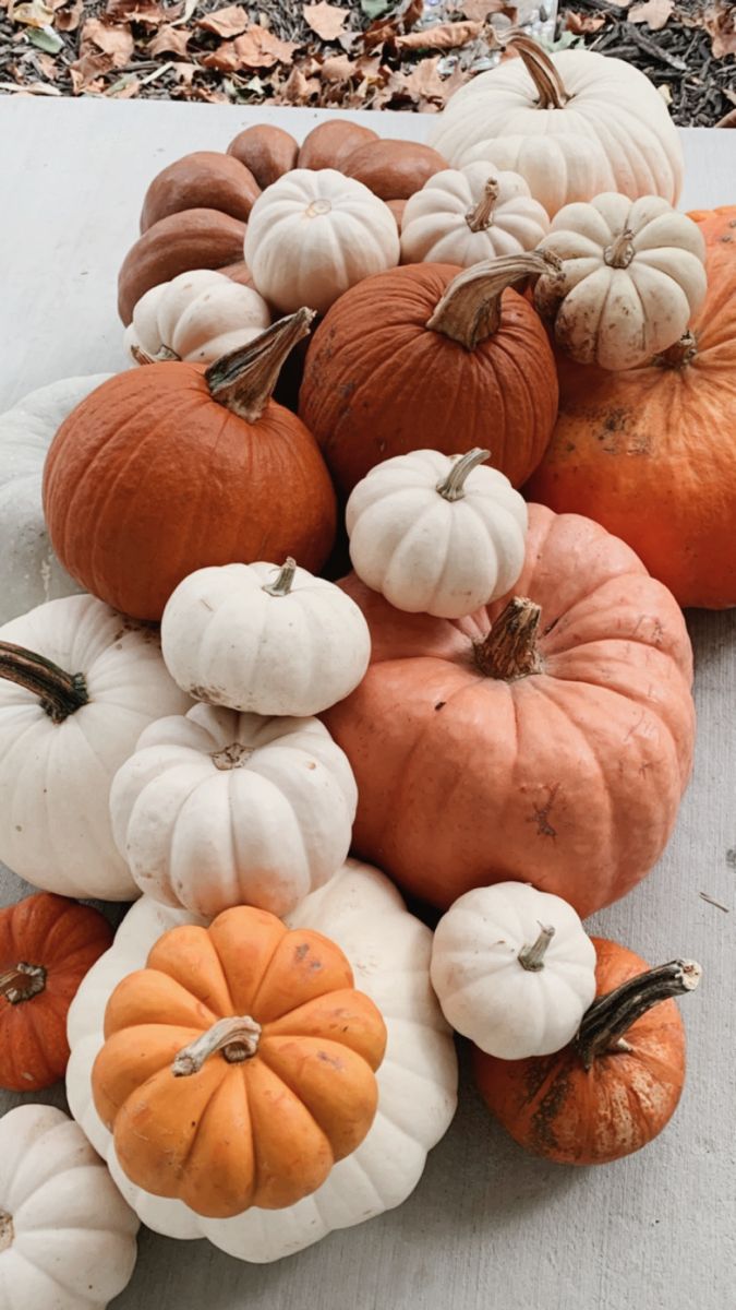 Pumpkin Porch Packages