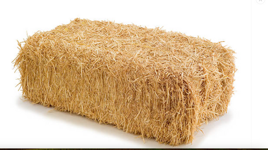 Hay Bale